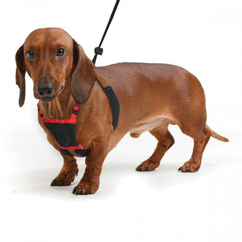 Sporn Mesh Dog Harness Black Large / XL