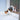 Closer Pets 4 Way Locking Glass Fitting Cat Door, Cat Mate,  Cat Doors,  Pet Essentials Warehouse.