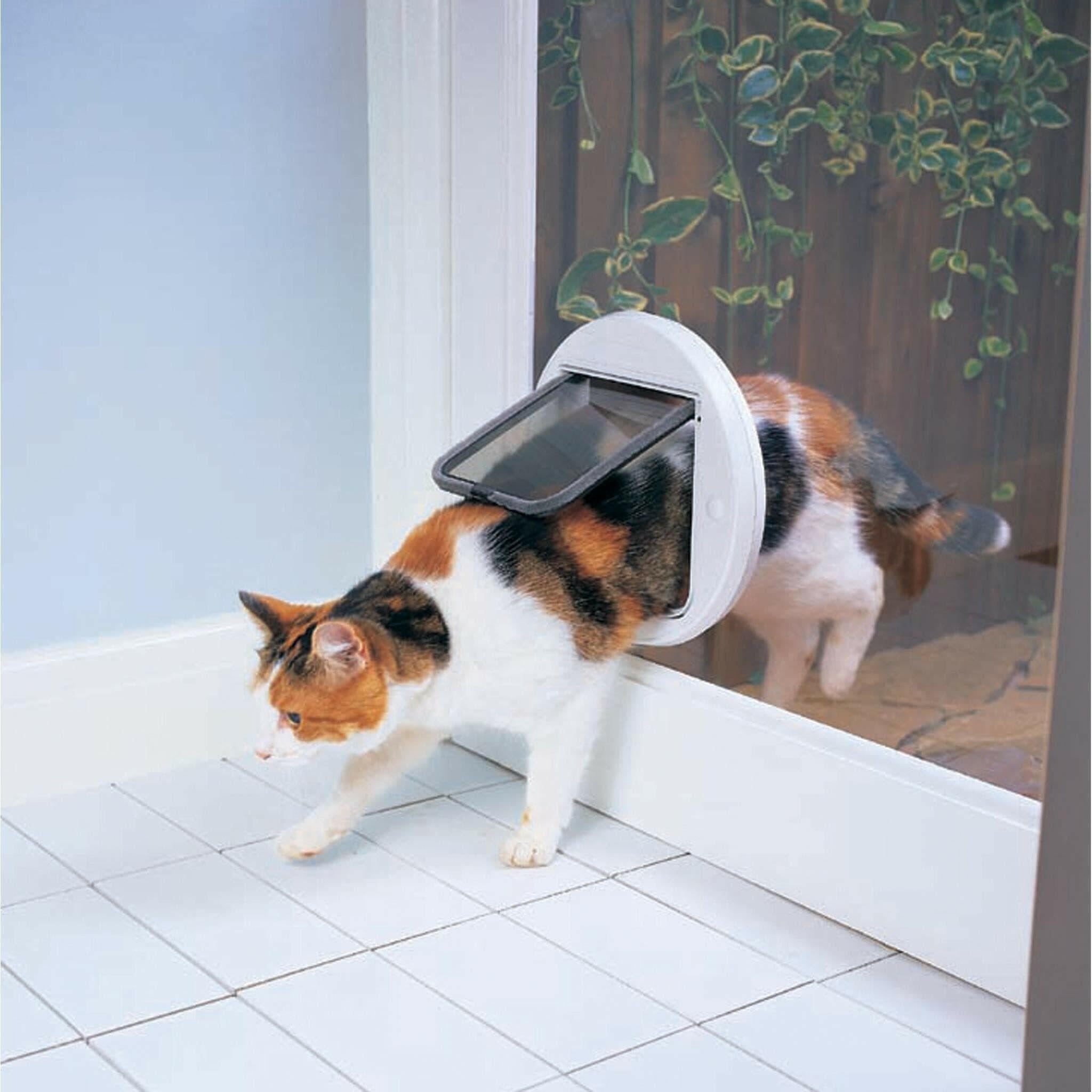Cat Mate Cat Door For Glass, cat walking through cat mate cat door fitted on glass window, pet essentials warehouse
