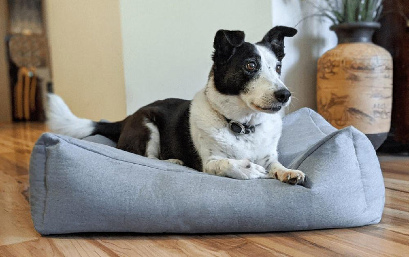 dog using Barkley & Bella Madrid Chambray Grey Dog Bed