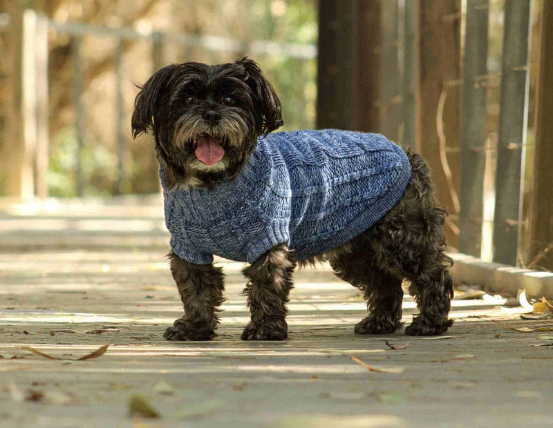 dog wearing Huskimo Jumper Chambray Blue, pet essentials warehouse, huskimo perth