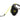 Flexi Giant 8m Neon Retractable Tape Medium Lead, Flexi,  Dog Leads,  Pet Essentials Warehouse.