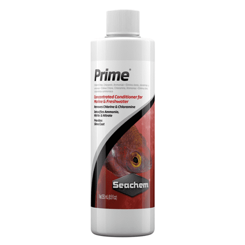 Seachem Prime 250ml, Pet Essentials Warehouse Napier
