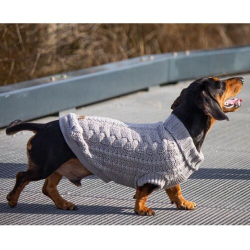 dash hound dog wearing Huskimo Jumper French Knit Cloud, Pet Essentials Warehouse,