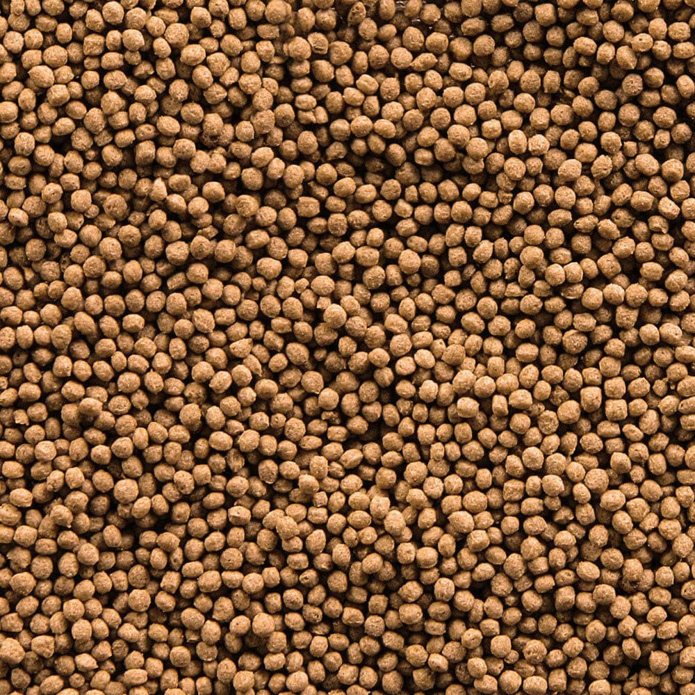Sera Gold Fish Granules, Fishly, Pet Essentials Napier, Pet Essentials Warehouse, Gold Fish Pellet Food