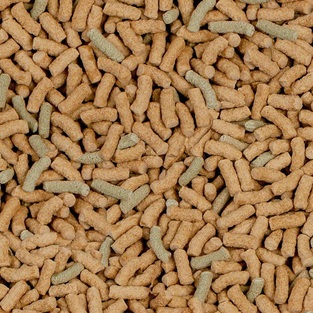 Sera Raffy P - Staple Turtle Food pellets, Pet Essentials Napier, Pet Essentials Warehouse