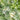 Sera Reptile Minerals & Vitamins, Sera,  Reptile Food,  Pet Essentials Warehouse.